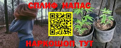 mdma Кингисепп
